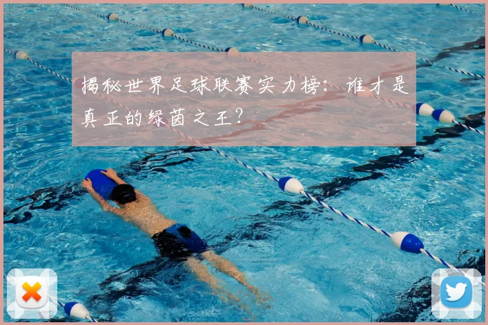 揭秘世界足球联赛实力榜：谁才是真正的绿茵之王？